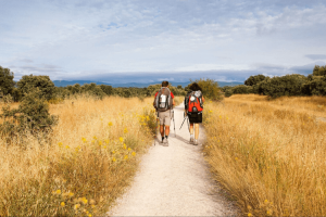 camino-frances-distance el-camino-real-espagne