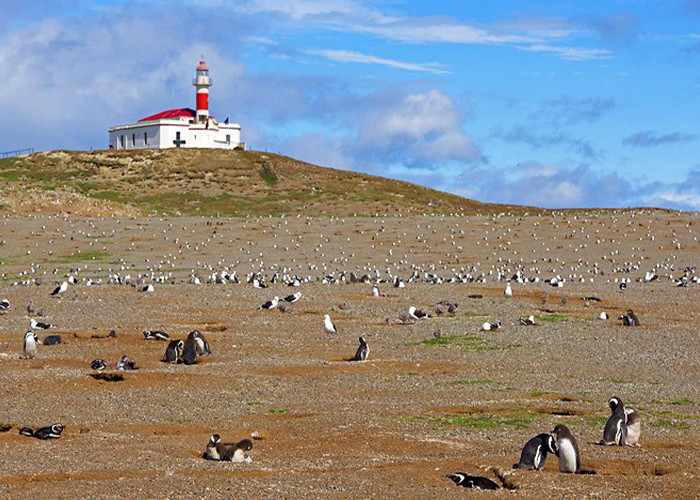 Monument naturel de Los Pingüinos