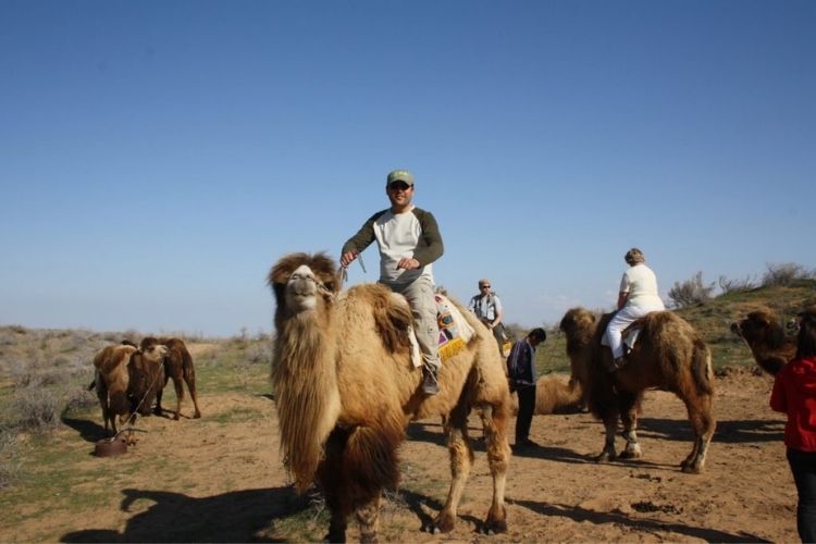 balade à dos de chameau dans le désert de Kizilkum en Asie centrale